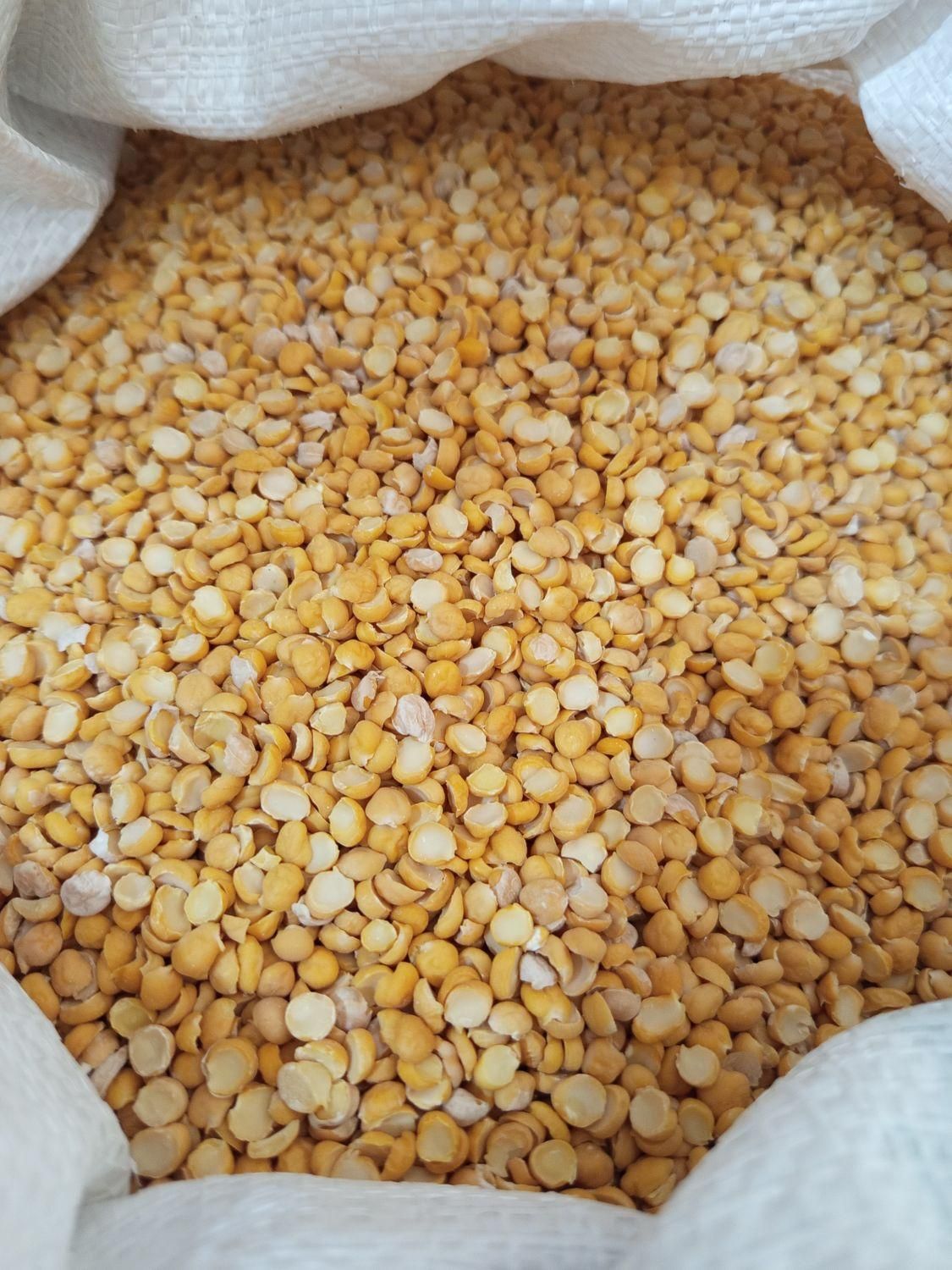 لپه ی محلی|خوردنی و آشامیدنی|شیراز, سعدیه شمالی|دیوار