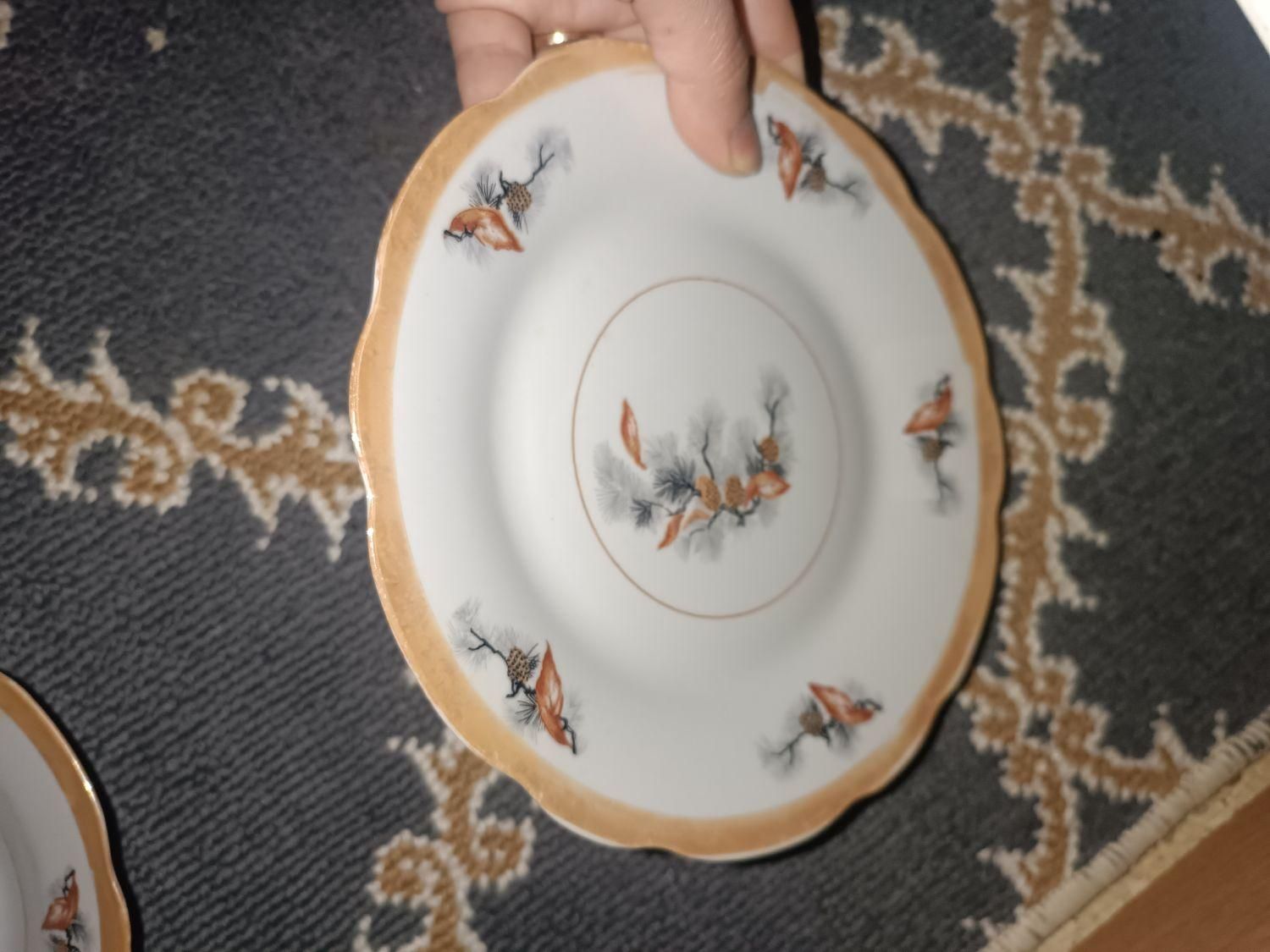 بشقاب چینی قدیمی|ظروف سرو و پذیرایی|فیروزآباد (فارس), |دیوار