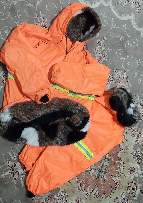 بادگیر|لباس|بجنورد, |دیوار