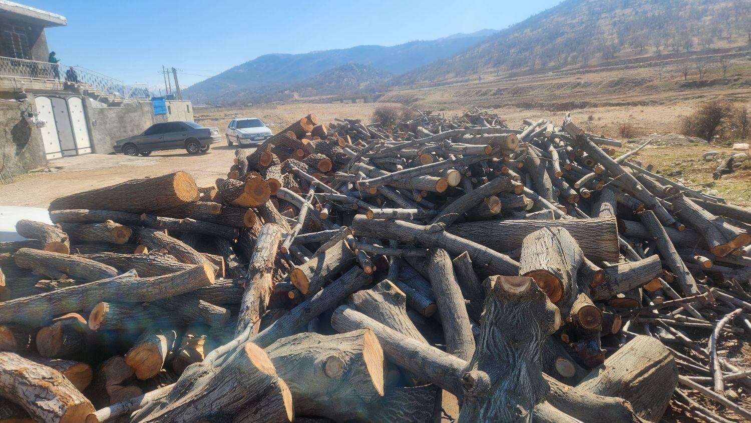 خریدار چوب درخت|خدمات باغبانی و درختکاری|یاسوج, |دیوار