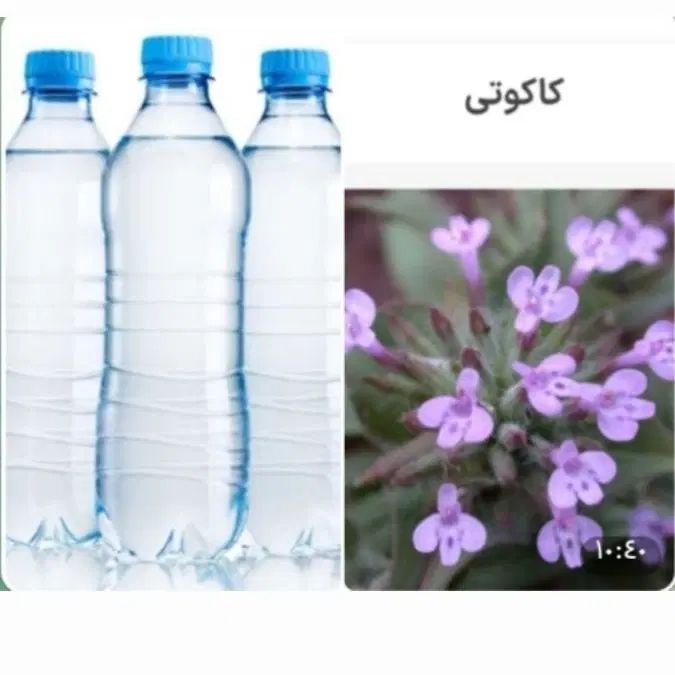 عرق گیاهی کاکوتی،صددرصدارگانیک|خوردنی و آشامیدنی|تهران, شمشیری|دیوار