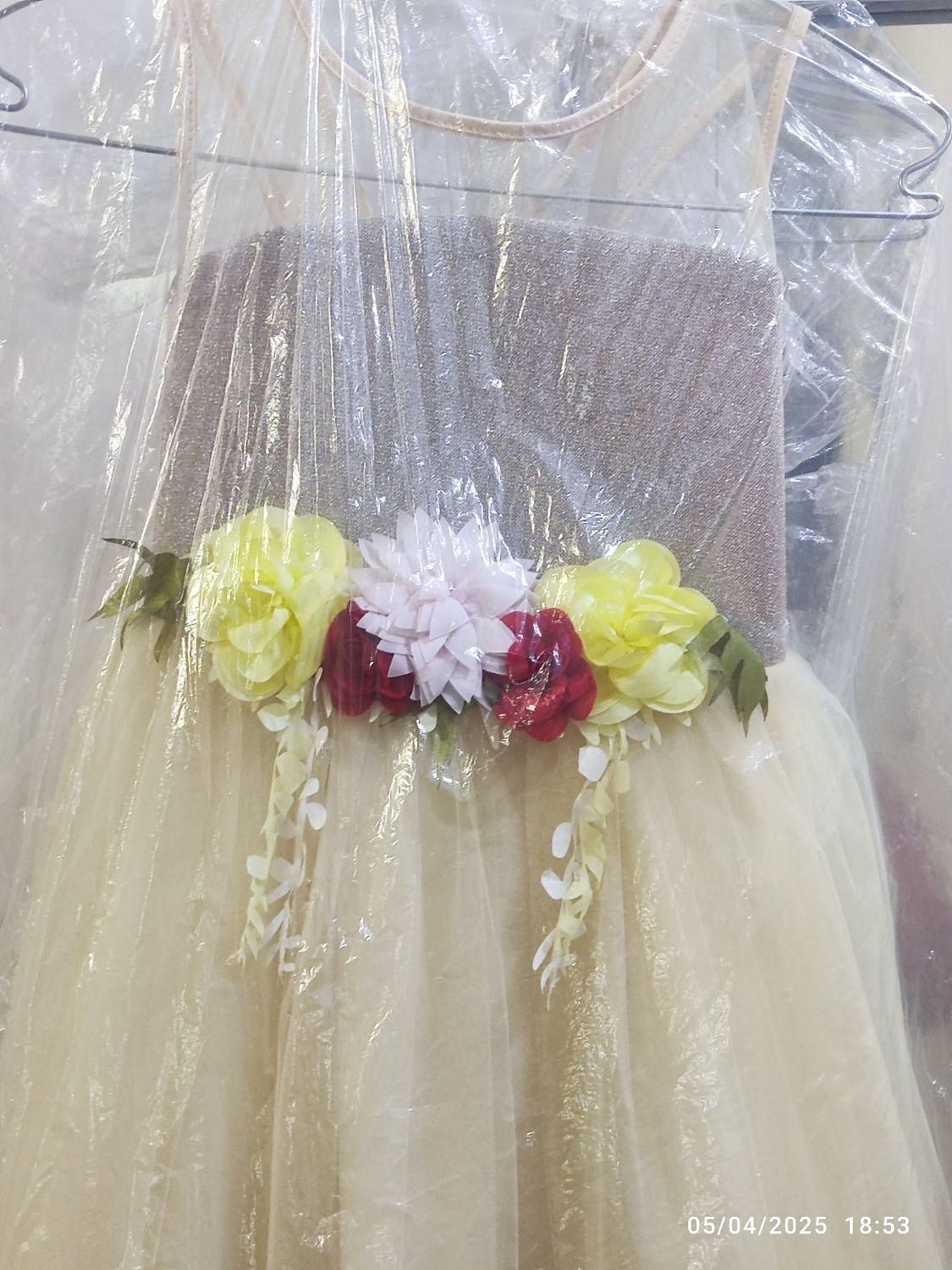 لباس مجلسی دخترانه|لباس|مراغه, |دیوار