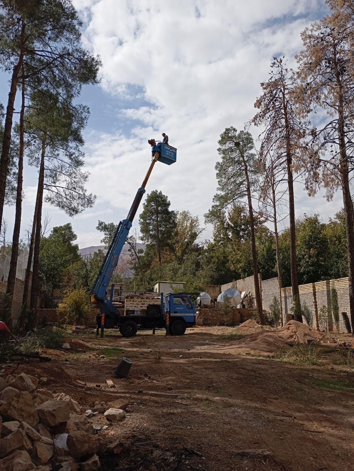 هرس وبرش درخت با اره برقی خرید چوب|خدمات باغبانی و درختکاری|شیراز, شهرک گلستان|دیوار