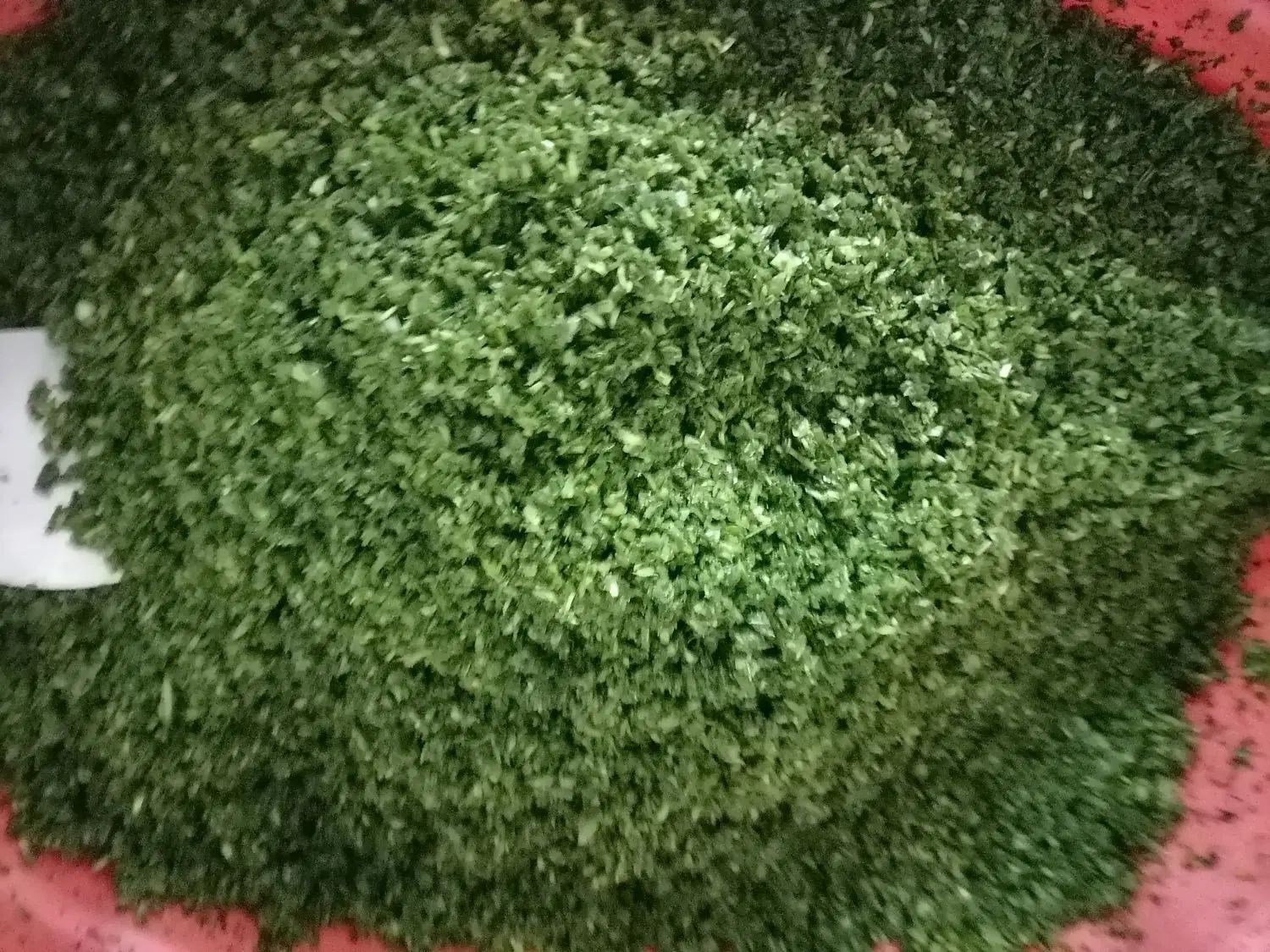 سبزی خورد شده آماده|خوردنی و آشامیدنی|مشهد, پنجتن|دیوار