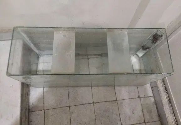 آکواریوم بزرگ سالم و مرتب|ماهی|مشهد, حجت|دیوار