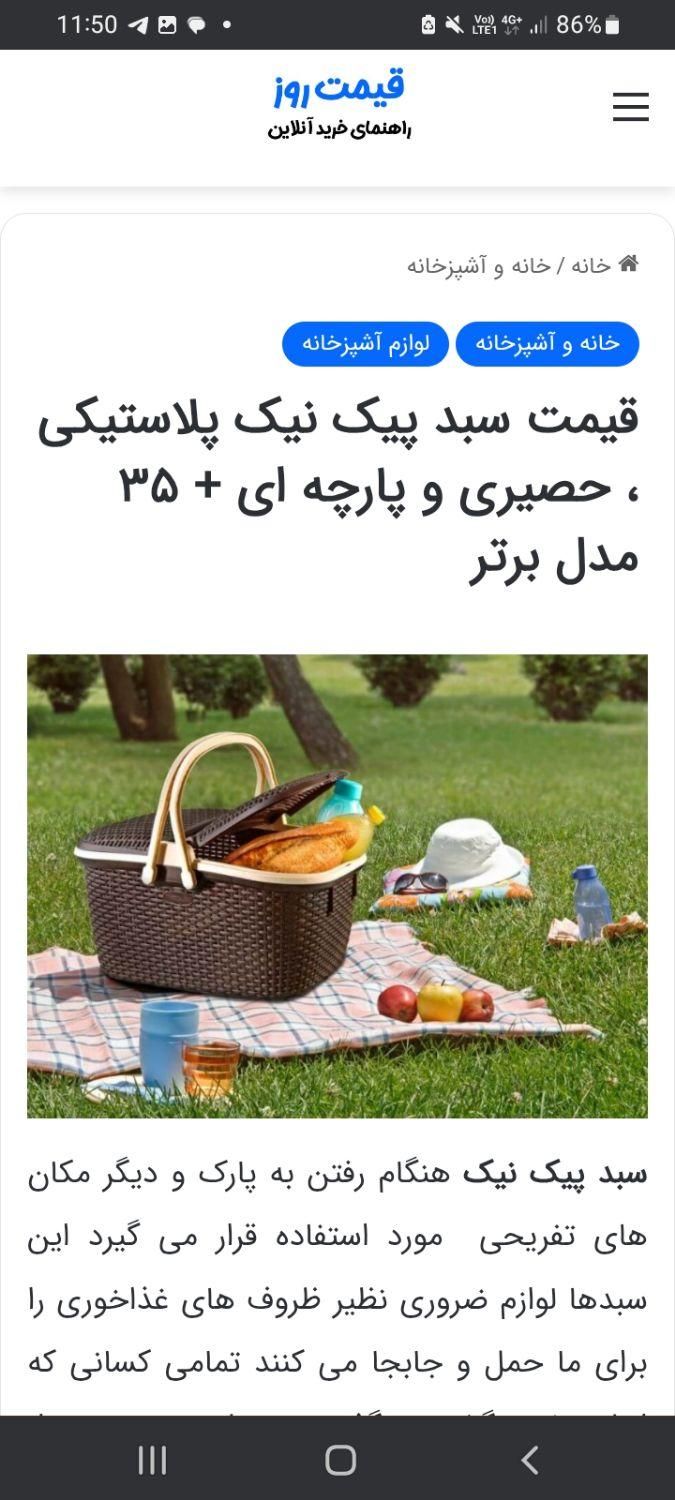 سبد مسافرتی قهوه ای|اشیا|کرج, برغان|دیوار