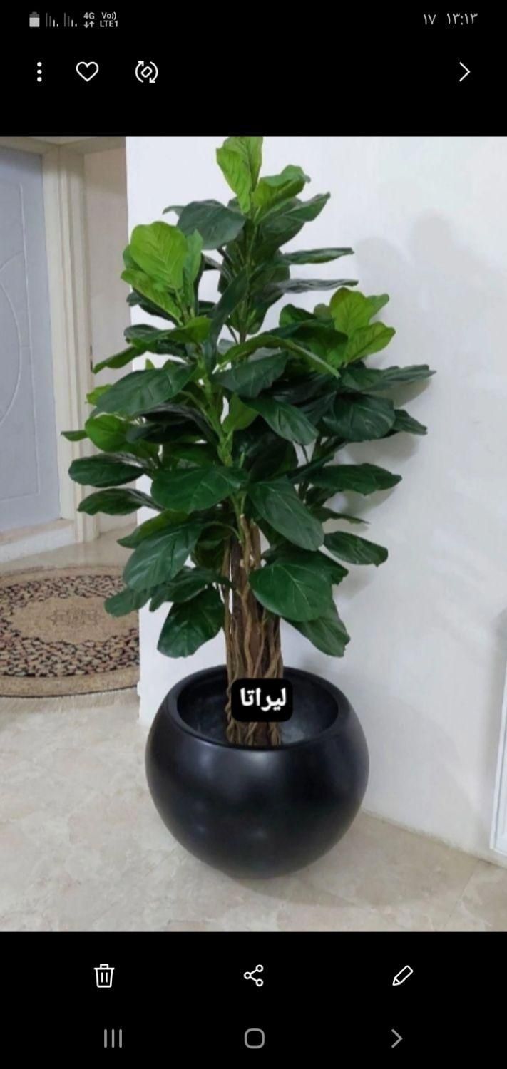 درختچه موز|گل مصنوعی|تهران, مشیریه|دیوار