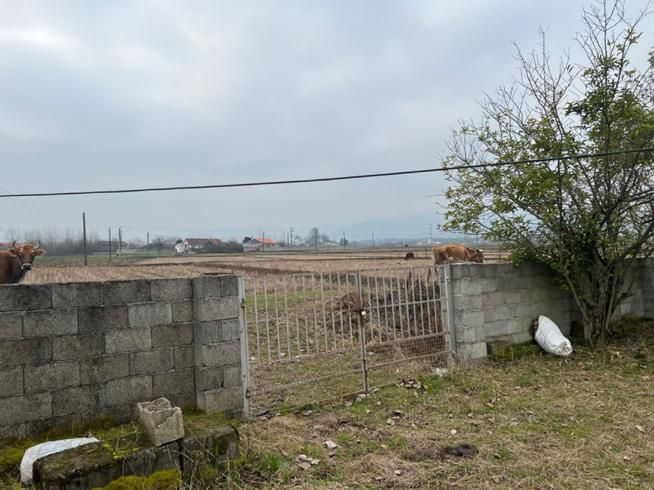 فروش ویلا ۱۰۰۰ متری با بنای قدیمی قابل سکونت|فروش زمین و ملک کلنگی|رضوانشهر, |دیوار