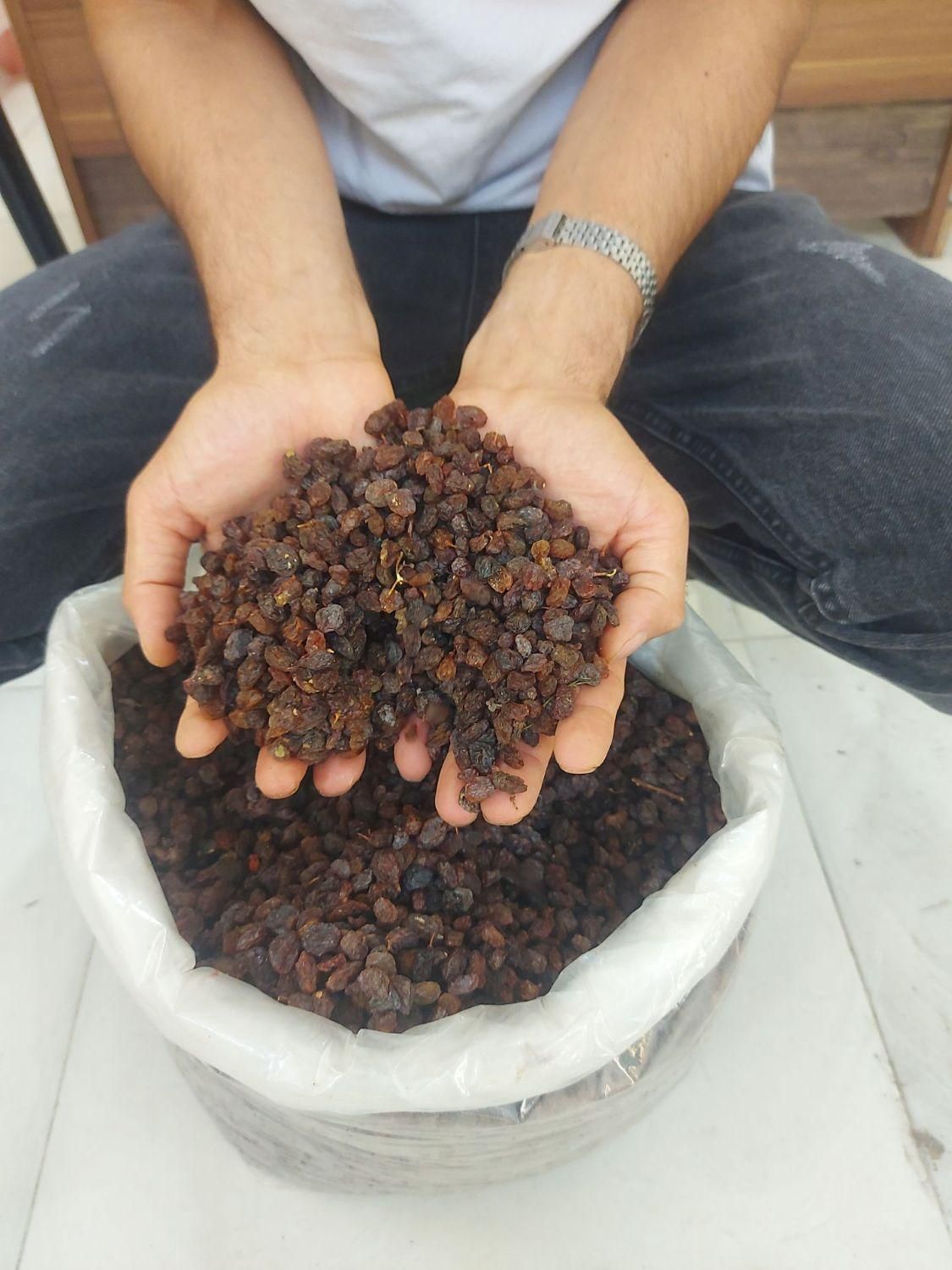 انواع کشمش گله آفتابی درگز و کاشمر|خوردنی و آشامیدنی|مشهد, نوید|دیوار