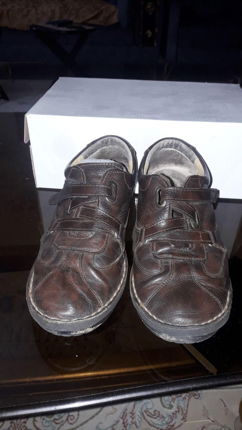 کفش تمام چرم درحدکاملانوچرم عالی سایز۳۹|کیف، کفش، کمربند|صدرا-فارس, فاز ۲|دیوار