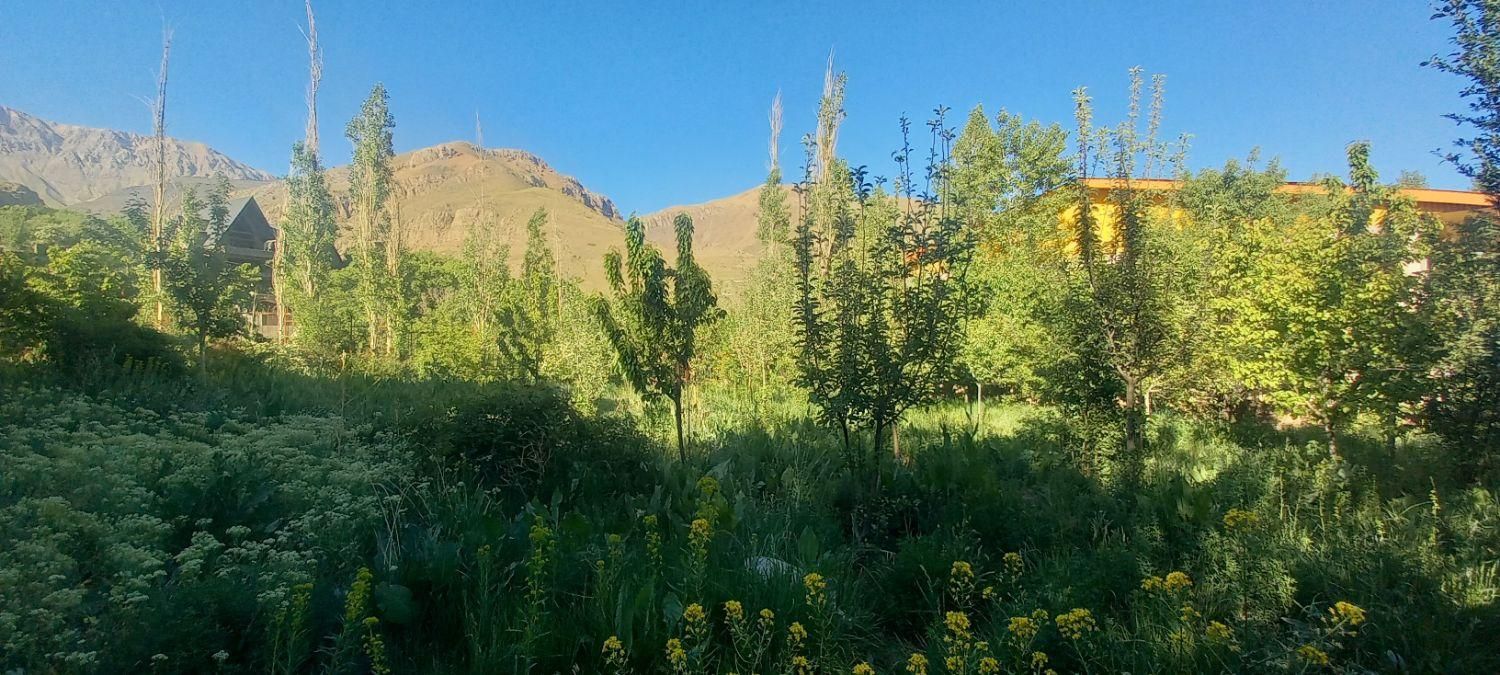 خونه باغ هزاردشت آبعلی|فروش خانه و ویلا|آبعلی, |دیوار