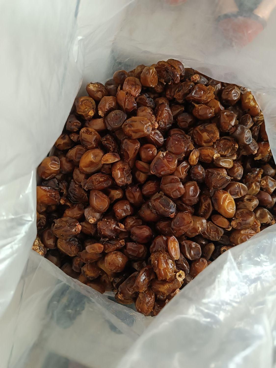 خرمای کبکاب و خاصویی درجه ۲|خوردنی و آشامیدنی|فولادشهر, C4|دیوار