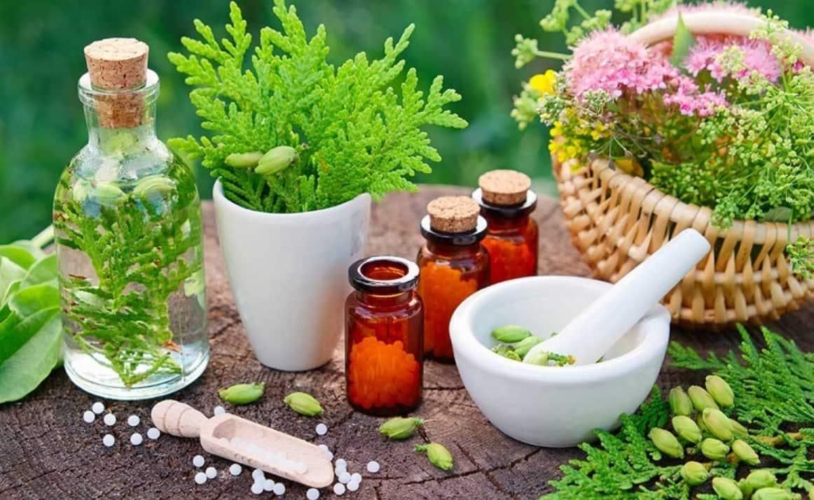 درآمد زایی و آموزش طب سنتی در خانه|فعالیت داوطلبانه|احمدسرگوراب, |دیوار