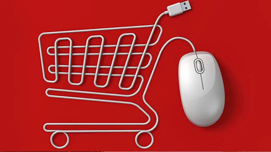 آموزش و ساخت فروشگاه اینترنتی تحویل دو روزه|خدمات رایانه‌ای و موبایل|بندرعباس, |دیوار