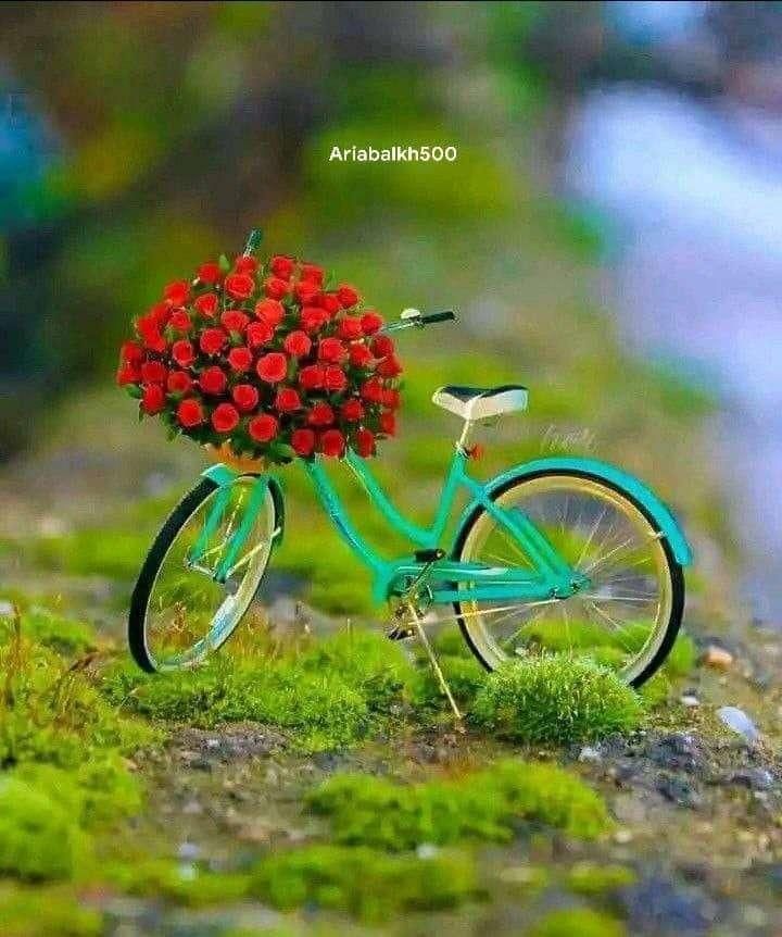 کلاس های تخصصی کنکور و تیزهوشان و یوس|خدمات آموزشی|تبریز, |دیوار