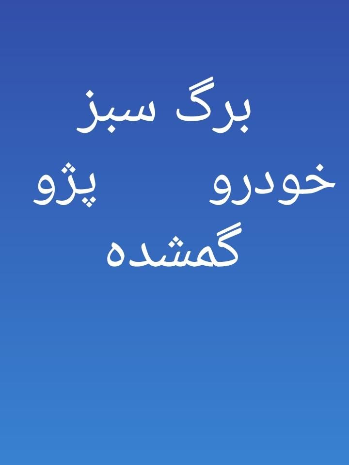 گمشده برگ سبزخودرو|اشیا|بروجرد, |دیوار