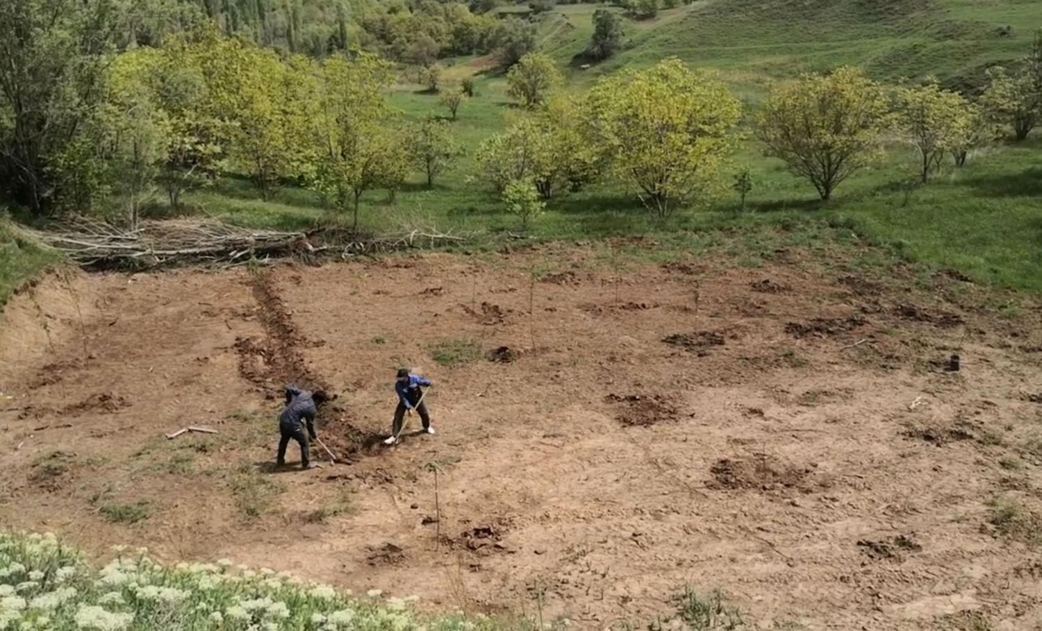 زمین باغچه ای در طالقان معاوضه با خودرو هم دارم|فروش زمین و ملک کلنگی|طالقان, |دیوار