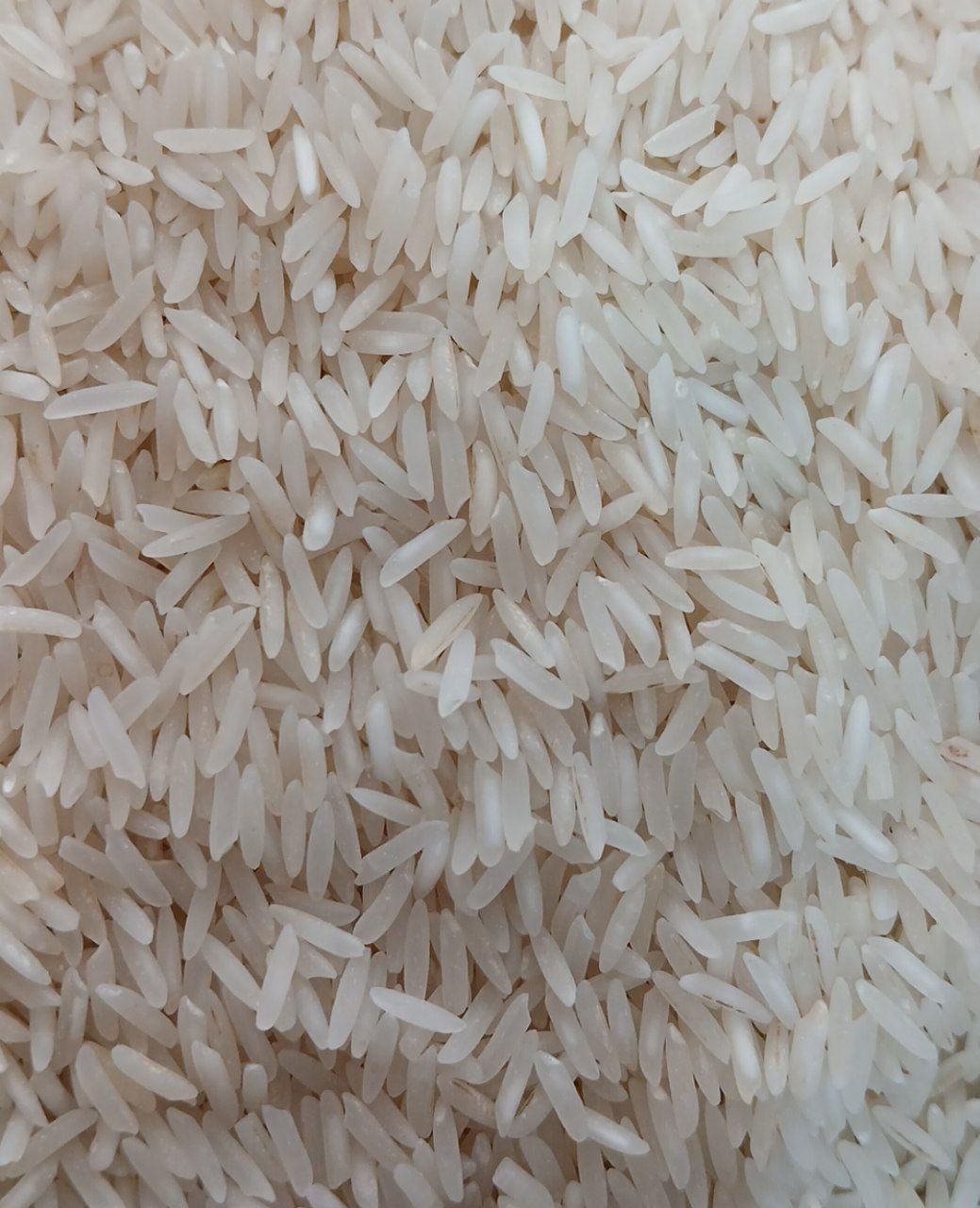 برنج خوشپخت گیلان|خوردنی و آشامیدنی|تهران, امامزاده حسن(ع)|دیوار