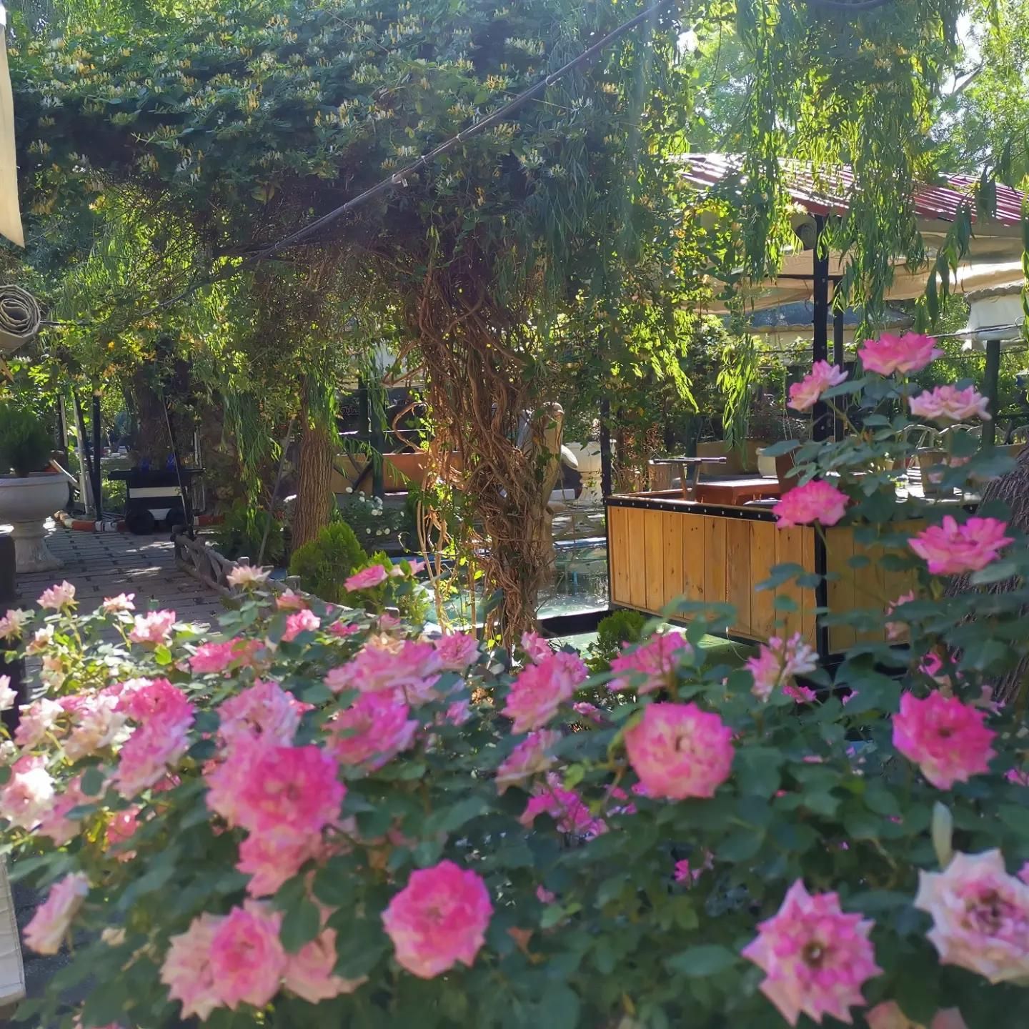 آشپز باغ رستوران|استخدام خدمات فروشگاه و رستوران|تهران, شهید رجایی|دیوار