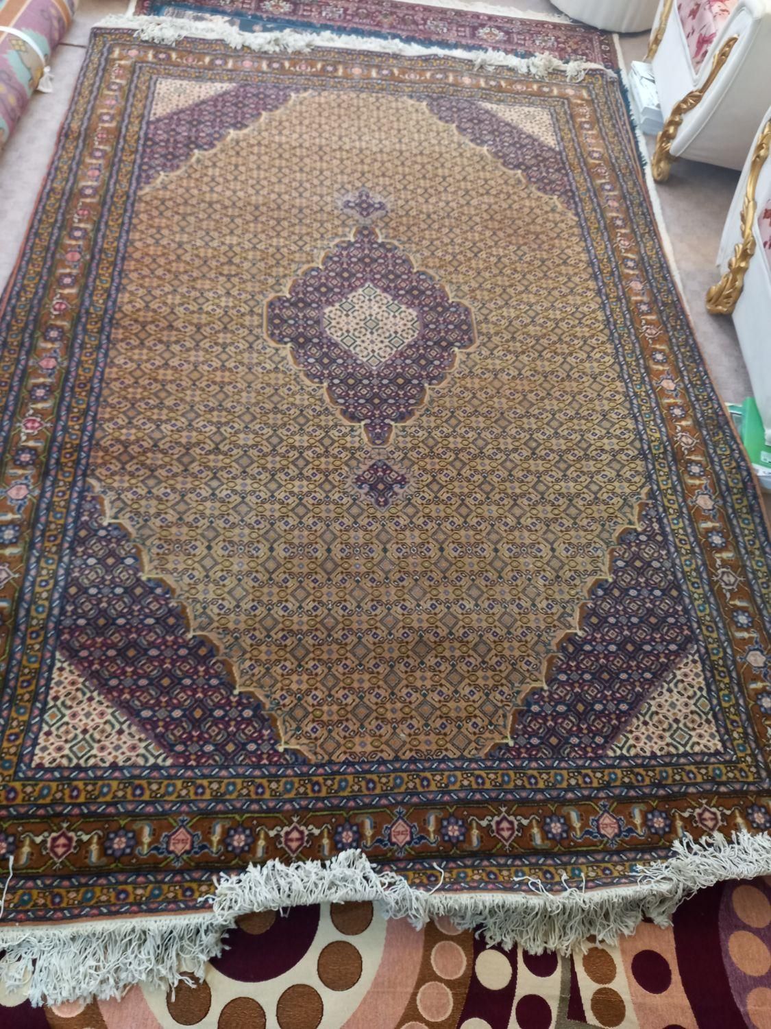 یک جفت فرش دستبافت ریز ماهی ۶ متری|فرش|اردبیل, |دیوار