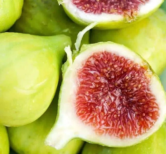 تولید کننده نهال درخت نهالستان انار انجیر گردو ..|خدمات باغبانی و درختکاری|قم, آزادگان|دیوار