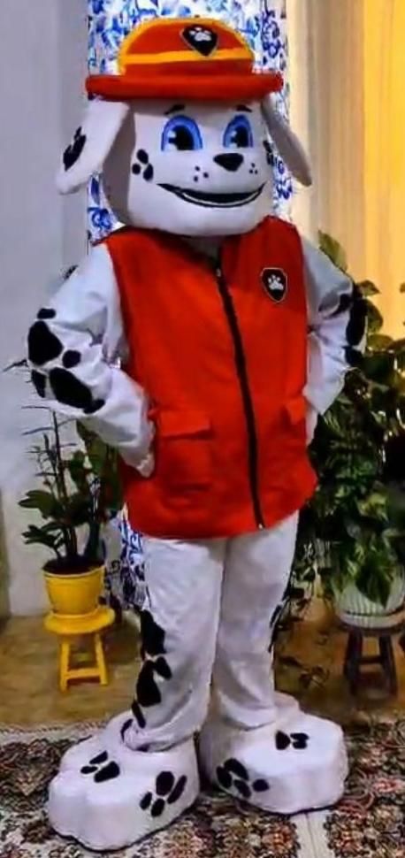 عروسک تن پوش|خدمات پذیرایی، مراسم|رشت, انصاری|دیوار