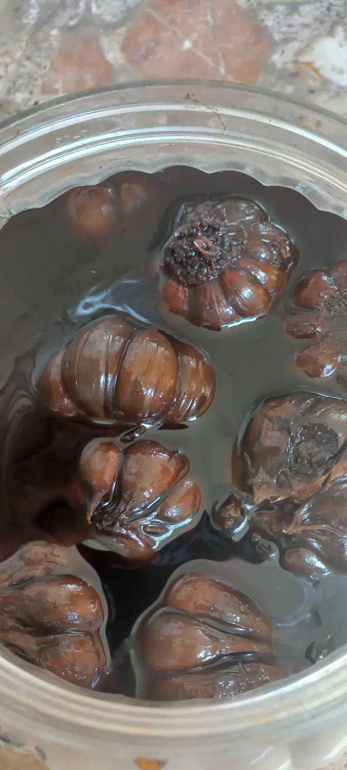 سیرترشی ۸ ساله درجه یک مشتری نیستی مزاحم نشو|خوردنی و آشامیدنی|علی‌آباد کتول, |دیوار