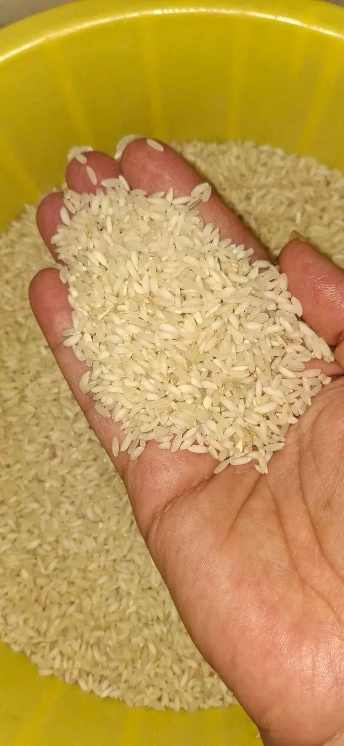 برنج عطری عنبربو|خوردنی و آشامیدنی|اصفهان, شهرک کاوه|دیوار