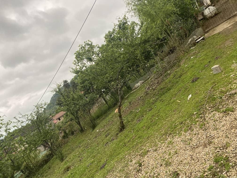 فروش زمین ۲۲۰ متری ویرمونی|فروش زمین و ملک کلنگی|آستارا, |دیوار