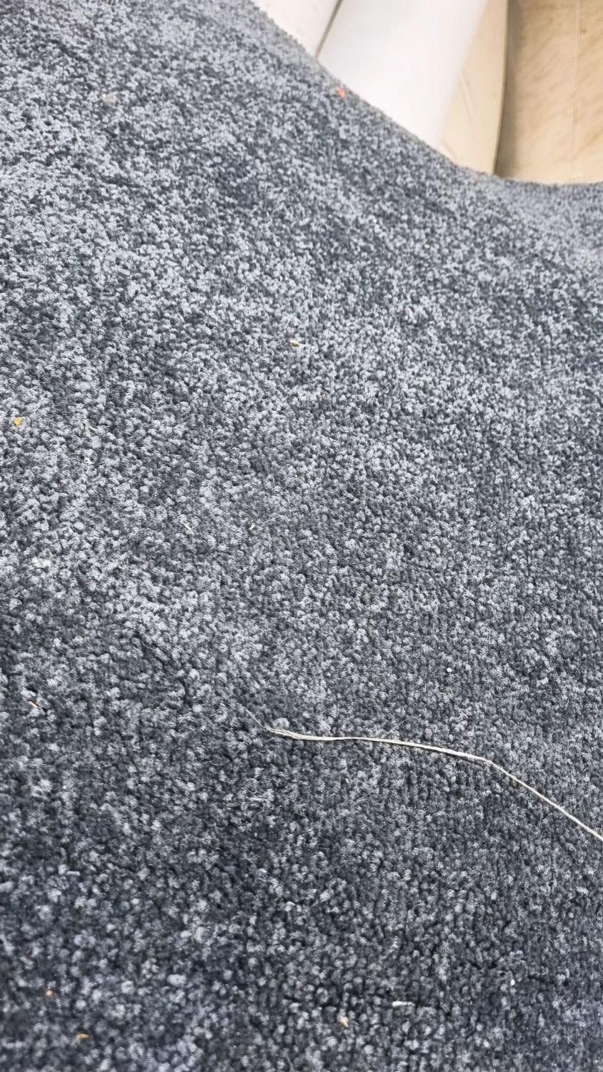 پالاز موکت نمایشگاهی|موکت|تهران, بهارستان|دیوار