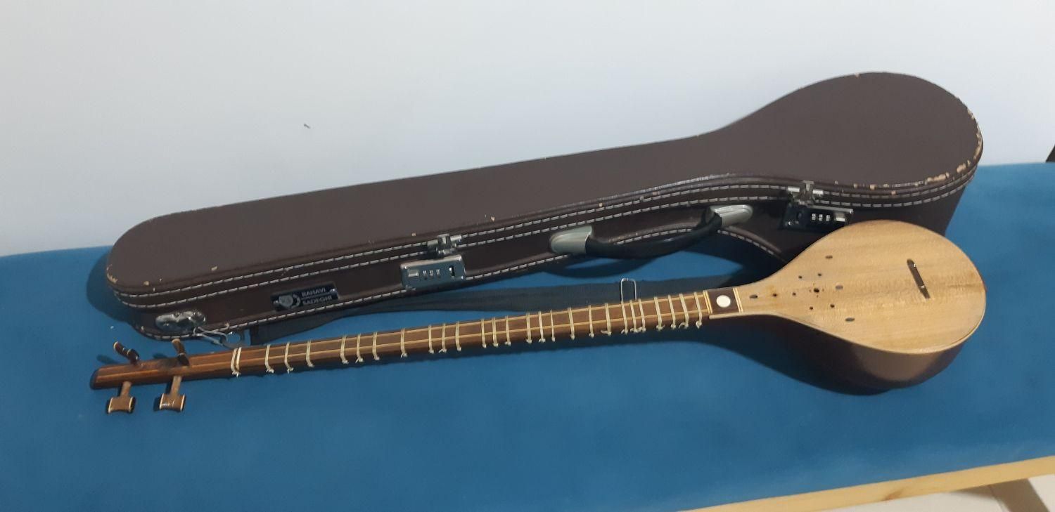 سه تار (حرفه ای)|سازهای سنتی|شیراز, باغ تخت|دیوار