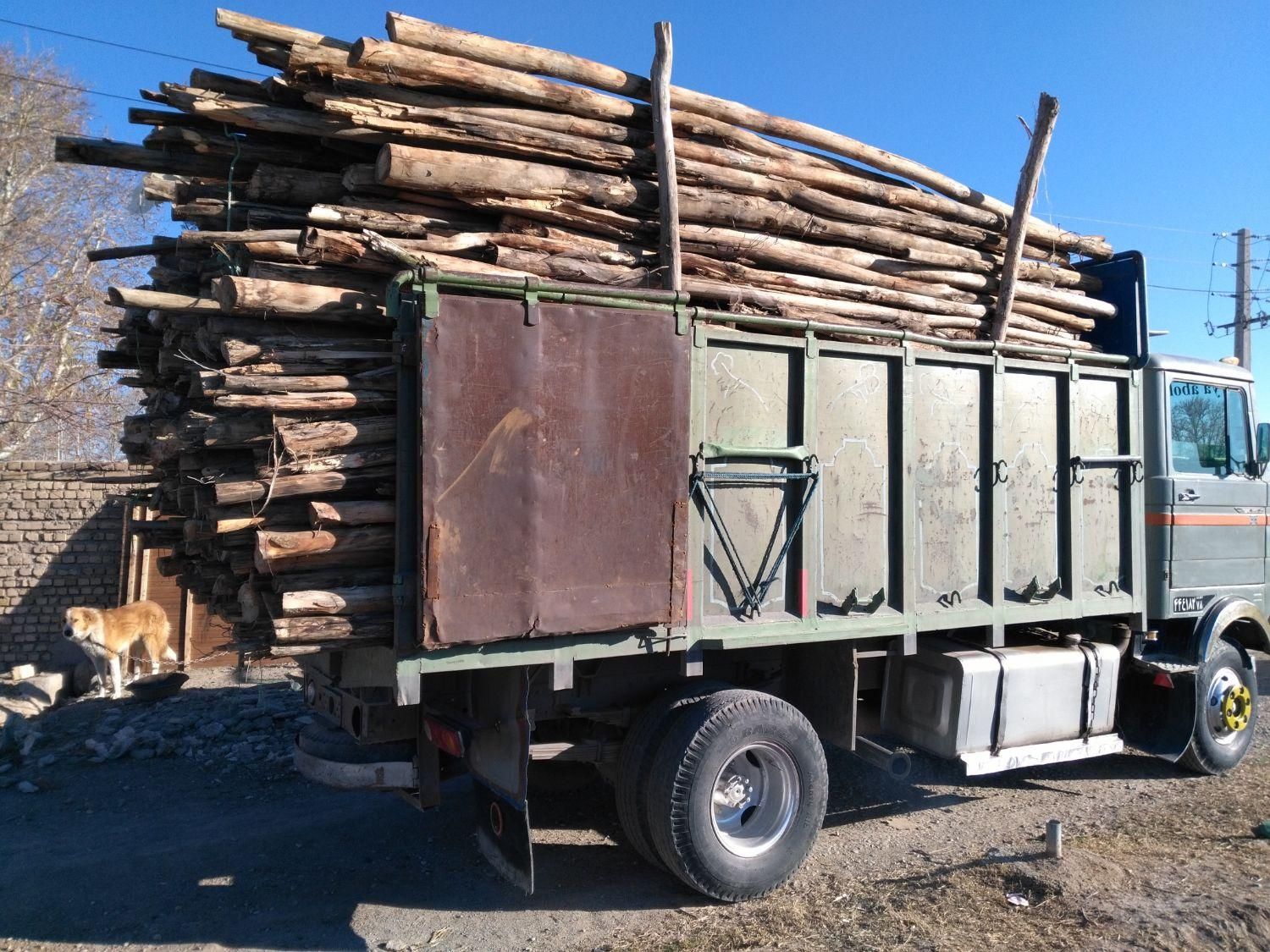 خرید چوب گلخونه ای|خدمات باغبانی و درختکاری|پیشوا, |دیوار