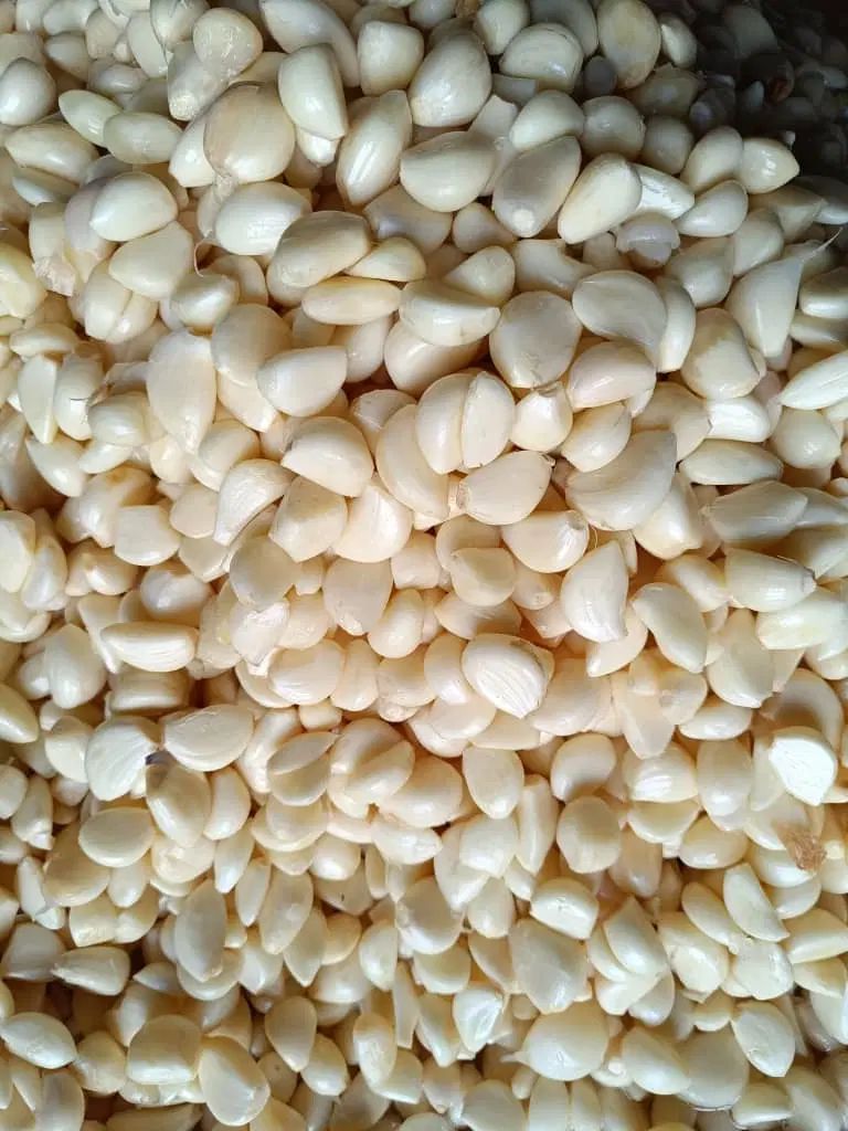 سیر منجمد|خوردنی و آشامیدنی|کرج, مرکز تحقیقات البرز|دیوار