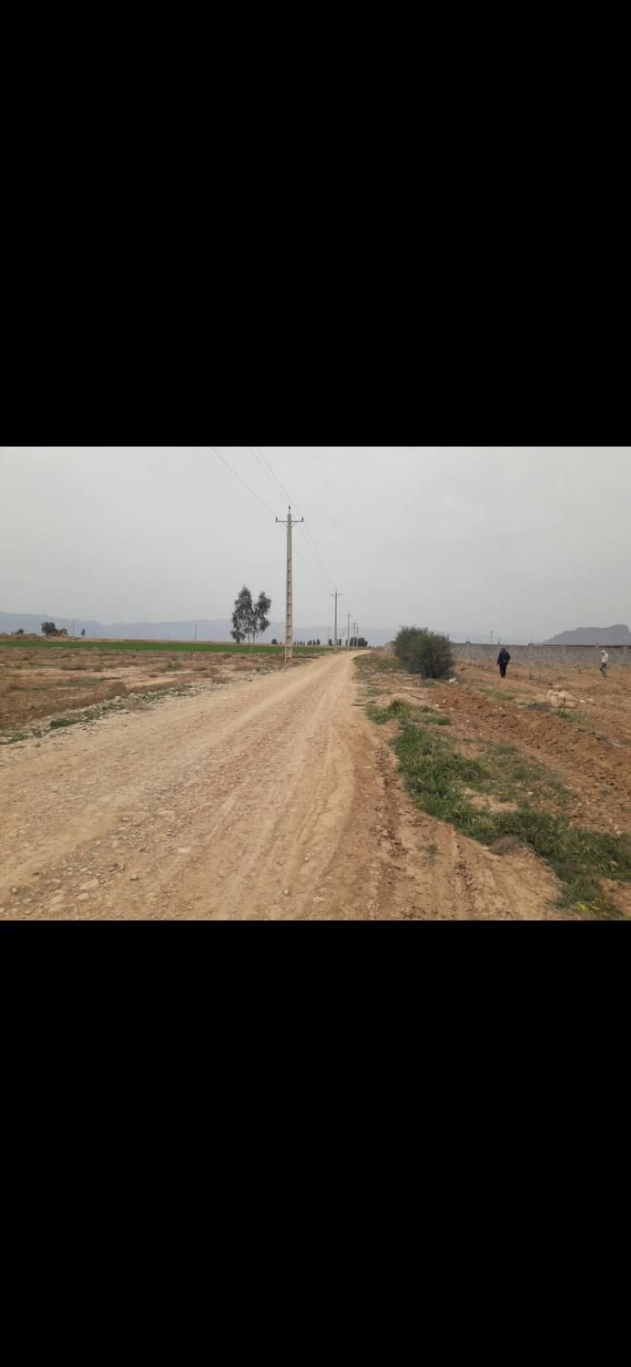 3000 متر زمین باغشهری دولت آباد سروستان|فروش زمین و ملک کلنگی|سروستان, |دیوار