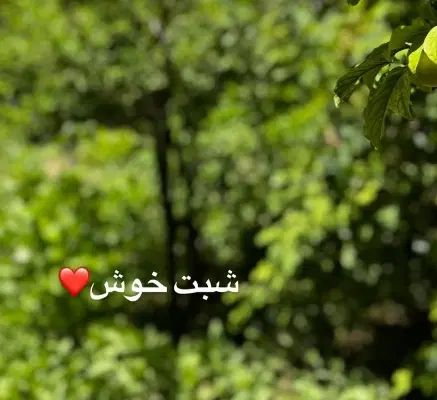 موهای های خام برای فروش دارم موهامو میخوام بفروشم|آرایشی، بهداشتی، درمانی|یاسوج, |دیوار