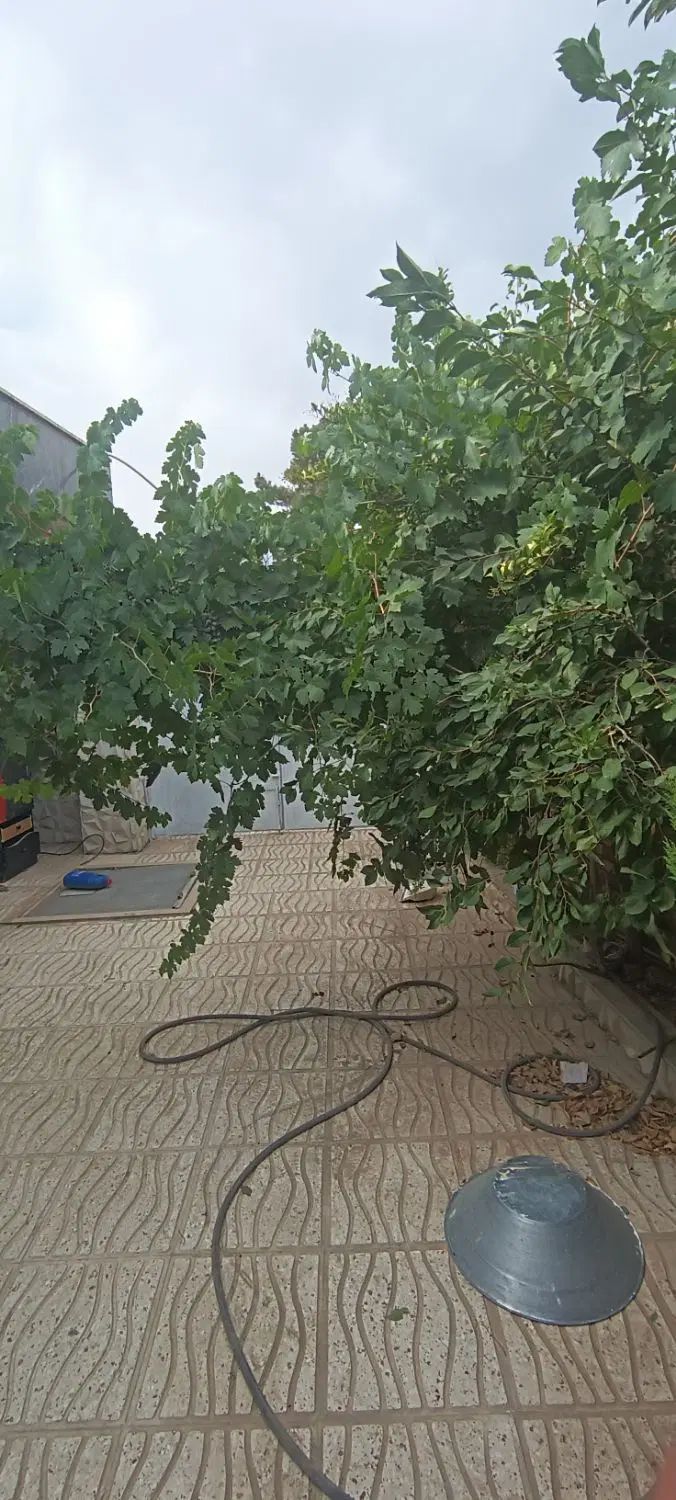 خانه ویلای حدودا ۱۰۵متر به صورت مبله به فروش می‌رس|فروش خانه و ویلا|هشتگرد, تهران دشت|دیوار
