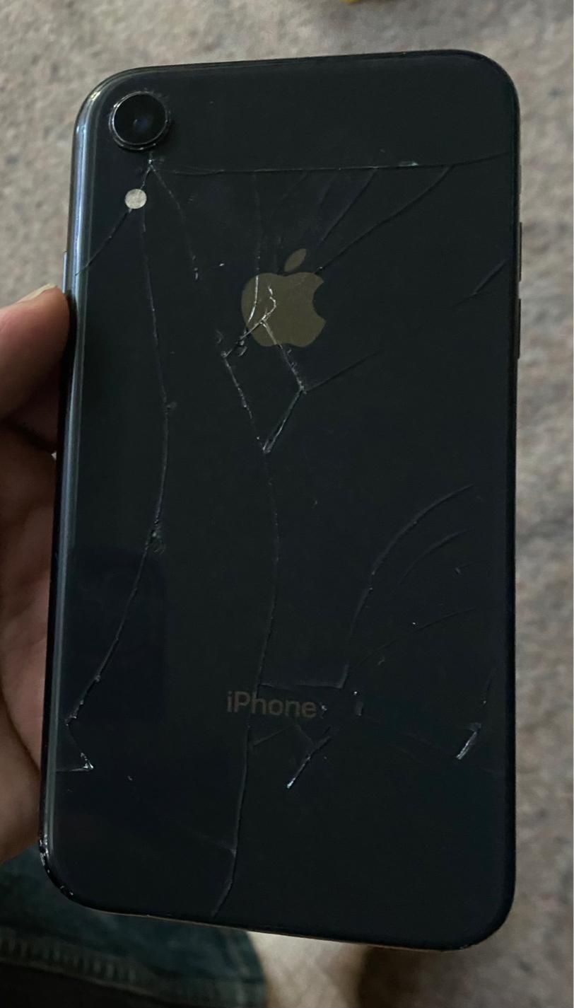 اپل iPhone XR با حافظهٔ ۲۵۶ گیگابایت|موبایل|تبریز, |دیوار