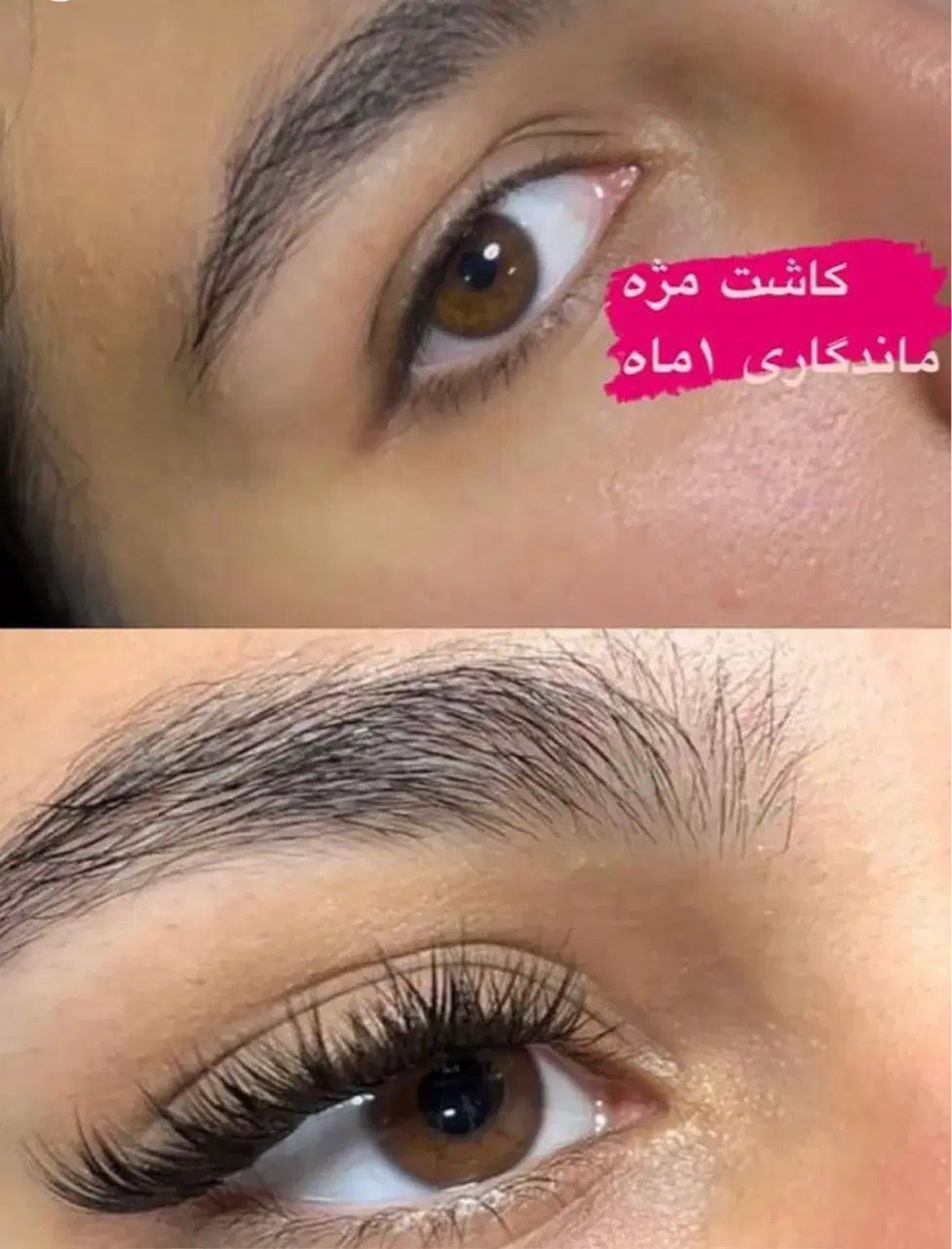 کاشت مژه رایگان|خدمات آرایشگری و زیبایی|رشت, حمیدیان|دیوار