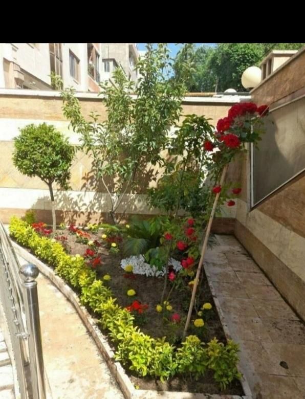 باغبانی و درختکاری (سم پاشی )|خدمات باغبانی و درختکاری|تهران, ونک|دیوار