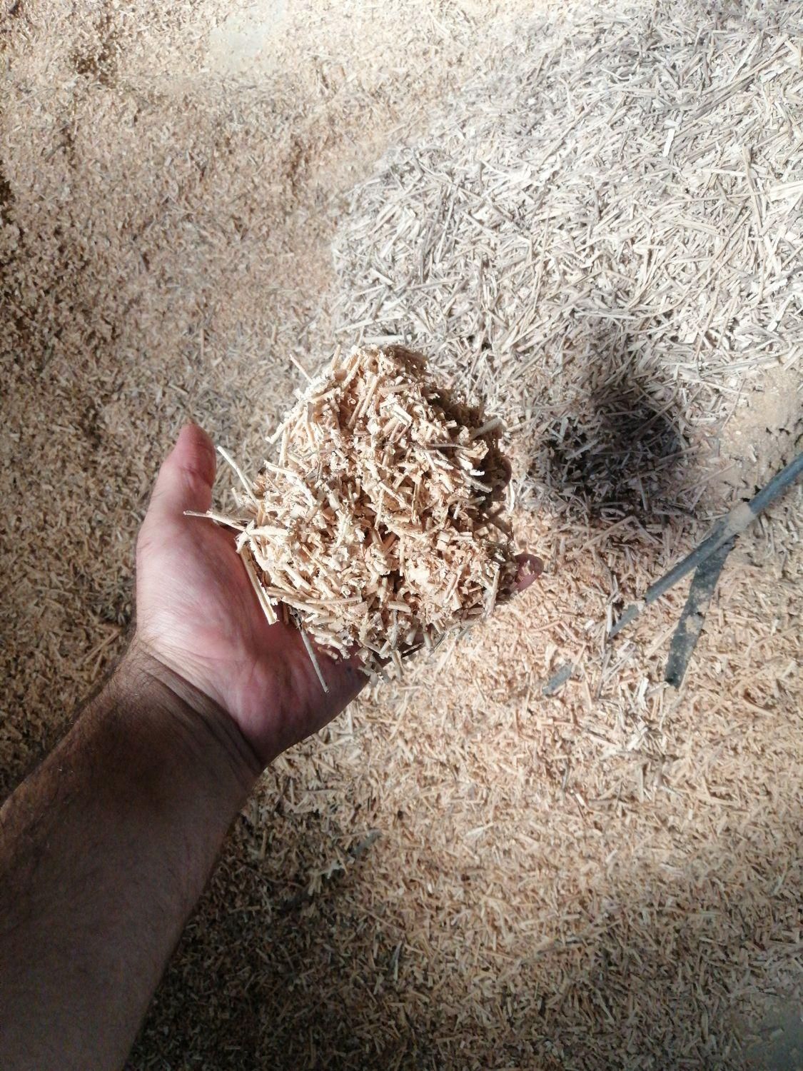 خاک اره تراشه زغال و هیزم|لوازم جانبی حیوانات|مشهد, نوید|دیوار