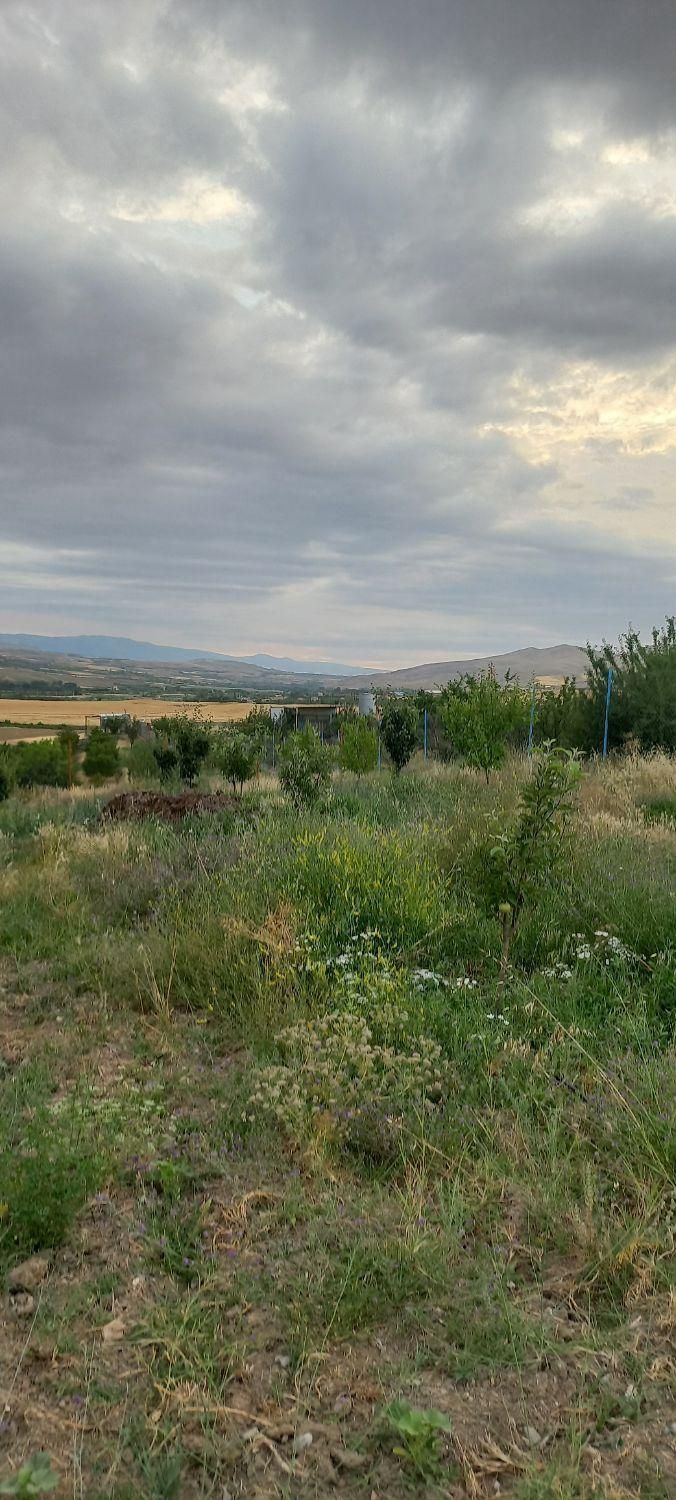 فروش ۵۰۰ متری باغ درجاده اهر مشگین|فروش دفتر صنعتی، کشاورزی، تجاری|فندقلو, |دیوار