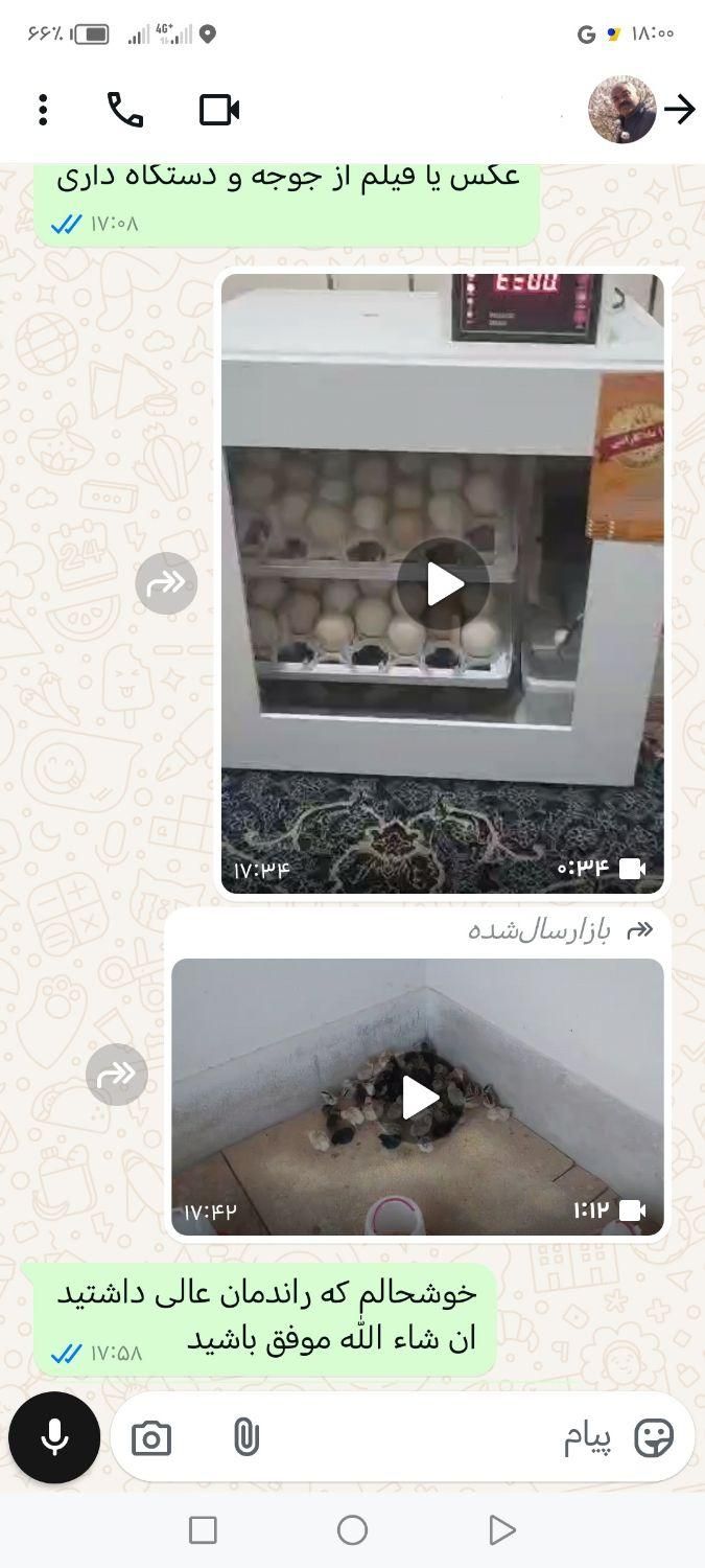 جوجه کشی مدل T25|لوازم جانبی حیوانات|شیراز, کوشک میدان|دیوار