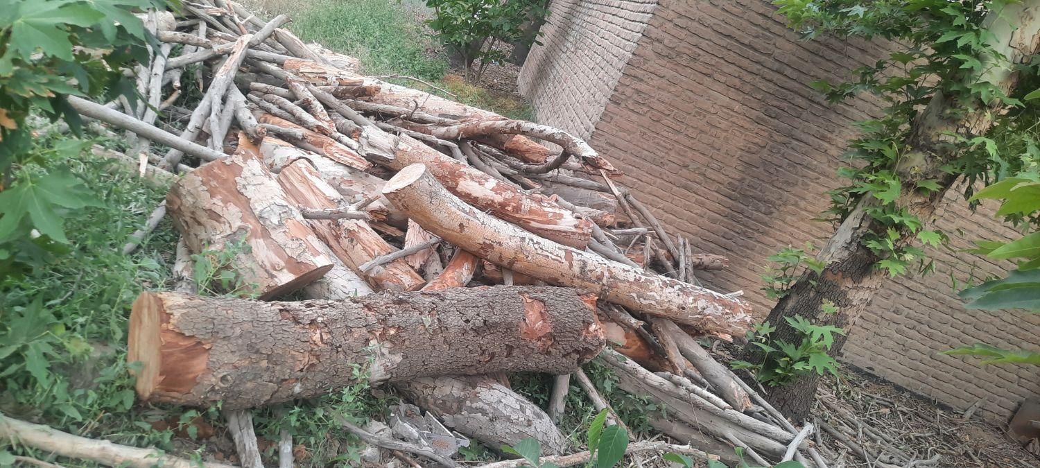 خریدارچوب درختان خیس وخشک صنعتی وزغالی|خدمات باغبانی و درختکاری|تهران, عبدلآباد|دیوار