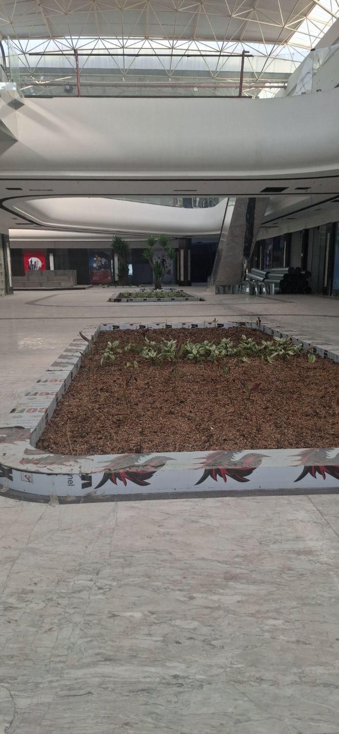 معاوضه یا فروش  مغازه ۲۰‌متری بوشهر مال|فروش مغازه و غرفه|بوشهر, |دیوار