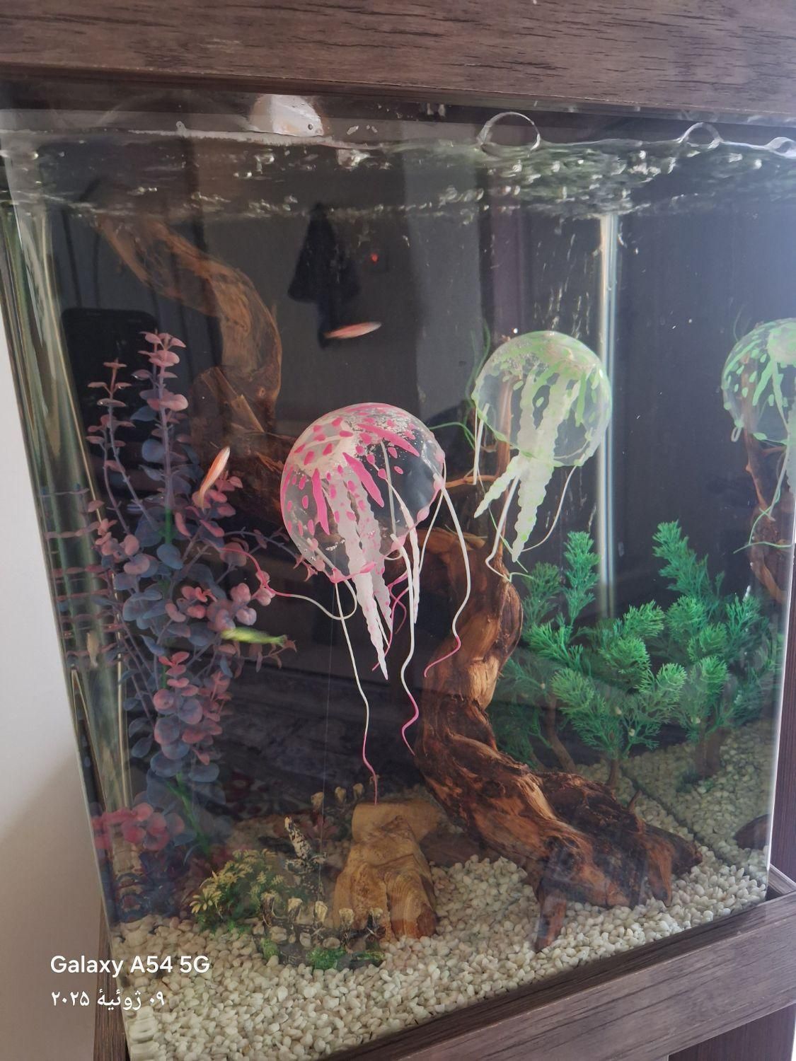 اکواریوم کمدی ایستاده ۱/۵متری با کلیه لوازم|ماهی|تهران, دولاب|دیوار