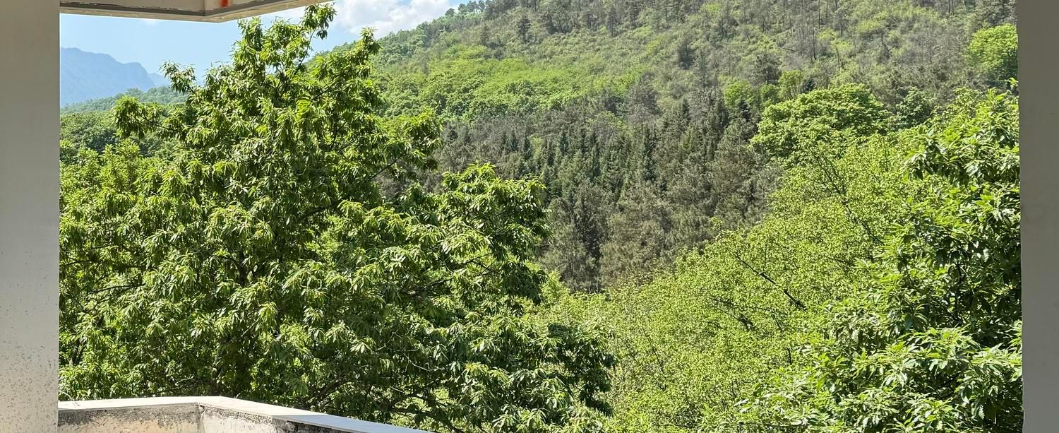 پیش فروش اپارتمان ویو ابدی جنگل/ناهارخوران|پیش‌فروش املاک|گرگان, |دیوار