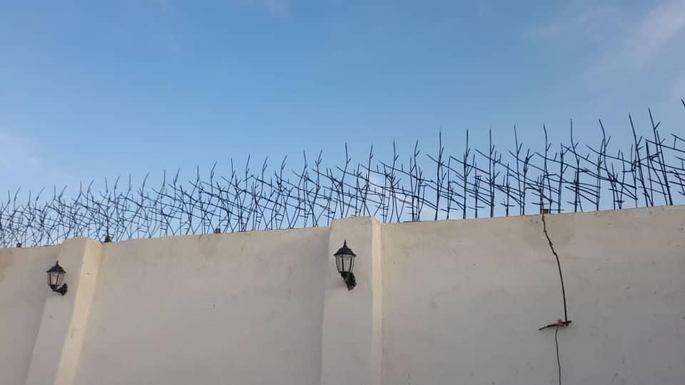 حفاظ روی دیوار|خدمات پیشه و مهارت|مشهد, نوید|دیوار