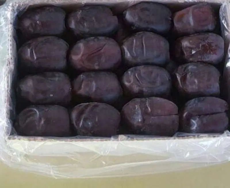 فروش خرمای بلوچستان عمده|خوردنی و آشامیدنی|تهران, تهرانسر مرکزی|دیوار