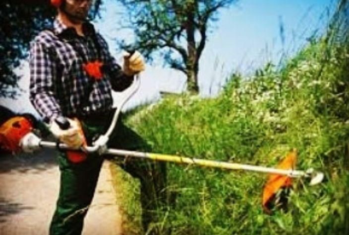 علف تراشی کود حیوانی سمپاشی خاک|خدمات باغبانی و درختکاری|چمستان, |دیوار