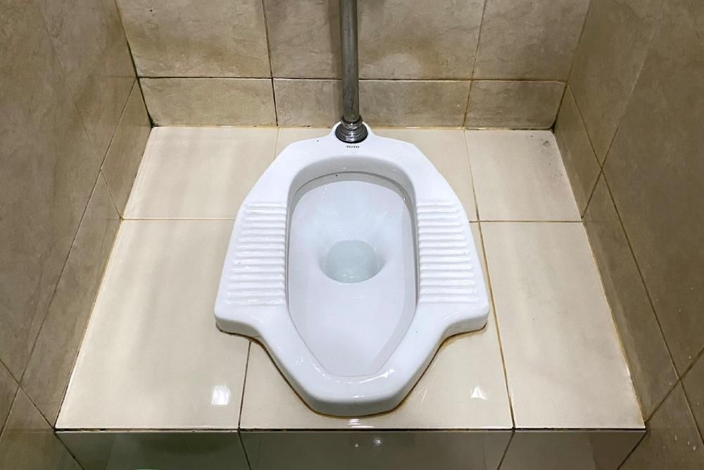 تعویض سرامیک سنگ توالت ایرانی فرنگی رفع نَم|خدمات پیشه و مهارت|بجنورد, |دیوار